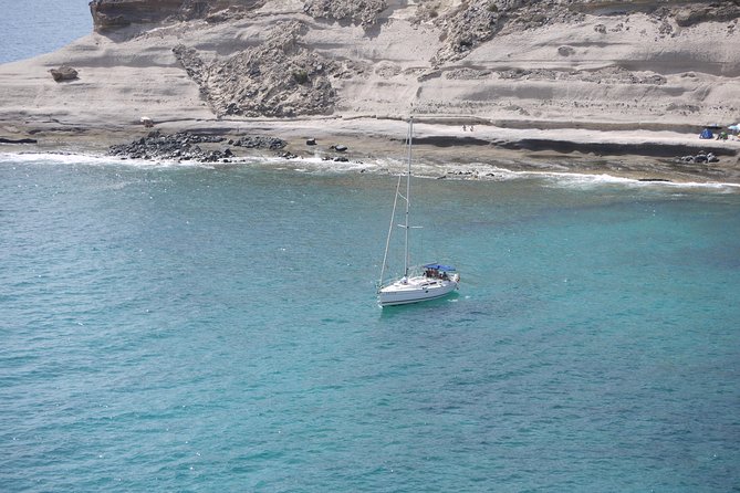 Tenerife 3-Hour Discover Whales and Dolphins - Key things to know before you go