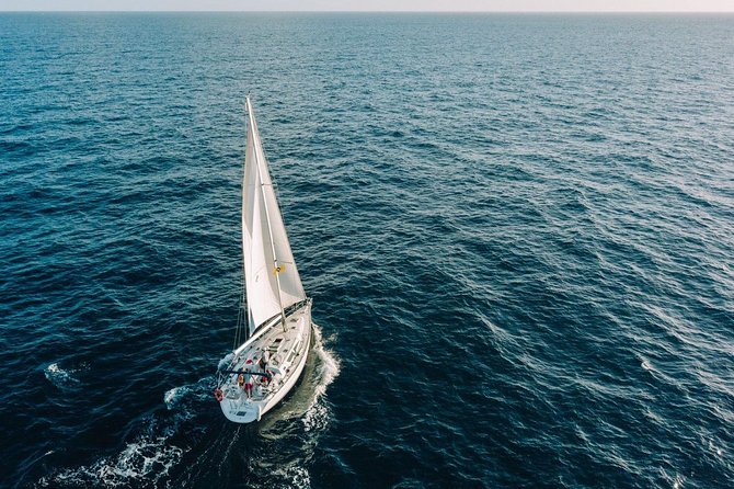 Tenerife 3-Hour Discover Whales and Dolphins - Getting to Puerto Colón: pickup within 20 kilometers