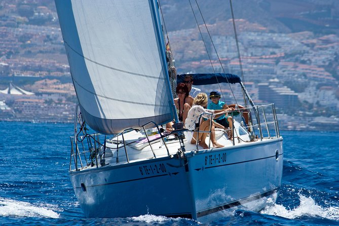 Tenerife 3-Hour Discover Whales and Dolphins - The Zec waters off Costa Adeje, and what you might see
