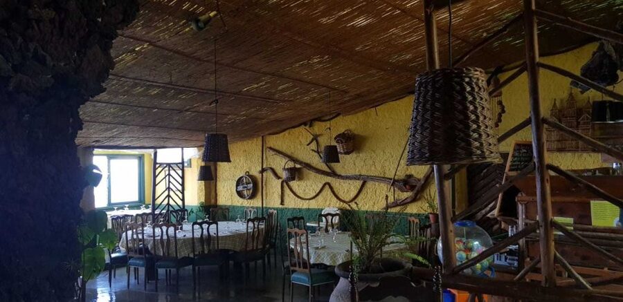 Tenerife: 4-Hour Gauchinche Food Tour - Should you book this Guachinche food tour?