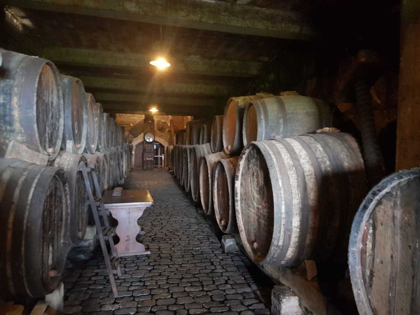 Tenerife: 4-Hour Gauchinche Food Tour - Who this 4-hour Gauchinche tour suits best