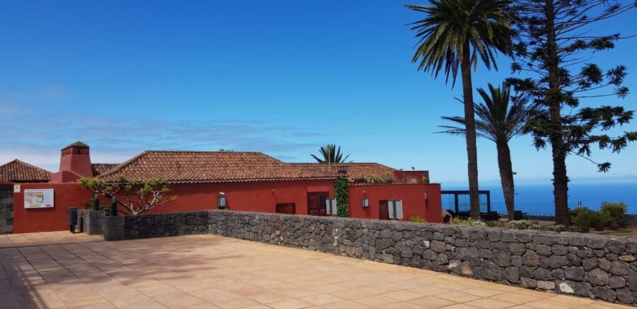 Tenerife: 4-Hour Gauchinche Food Tour - Practical tips so the day feels smooth