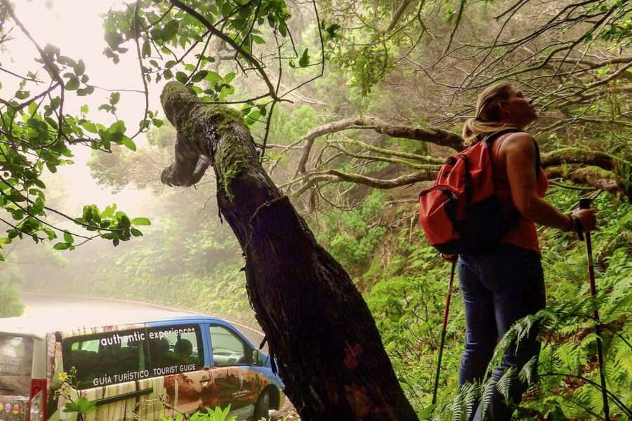 Tenerife: Anaga Rural Park Private Tour - Key Points If You Want the Real Anaga Experience