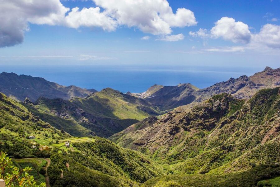 Tenerife: Anaga Rural Park Private Tour - Anaga Mountains Hiking: Short, But Not a Stroll