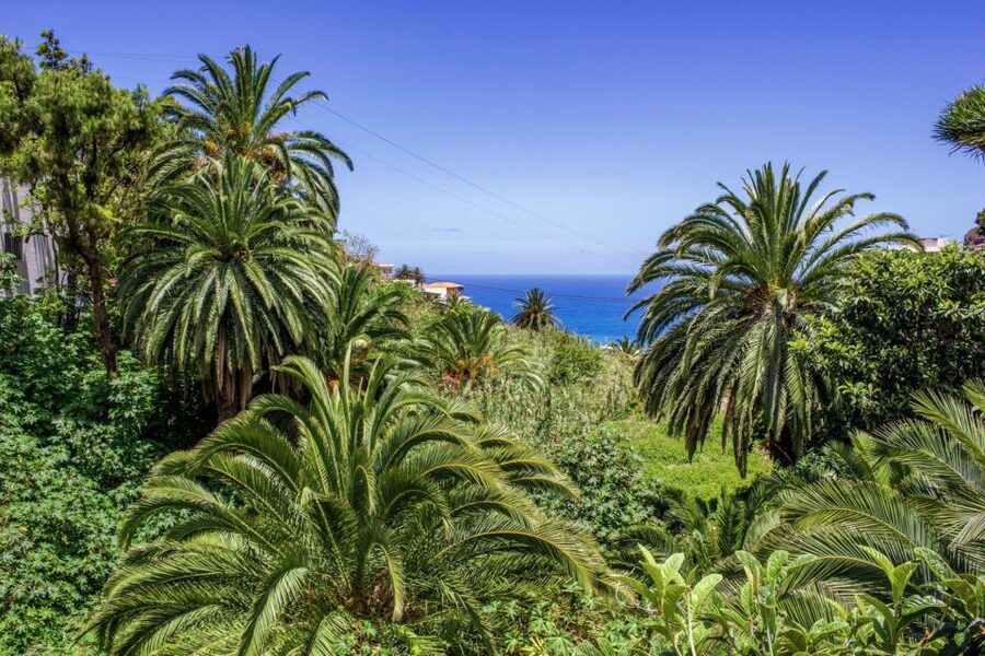 Tenerife: Anaga Rural Park Private Tour - La Laguna, UNESCO City, and Why It Feels Like a Living Museum