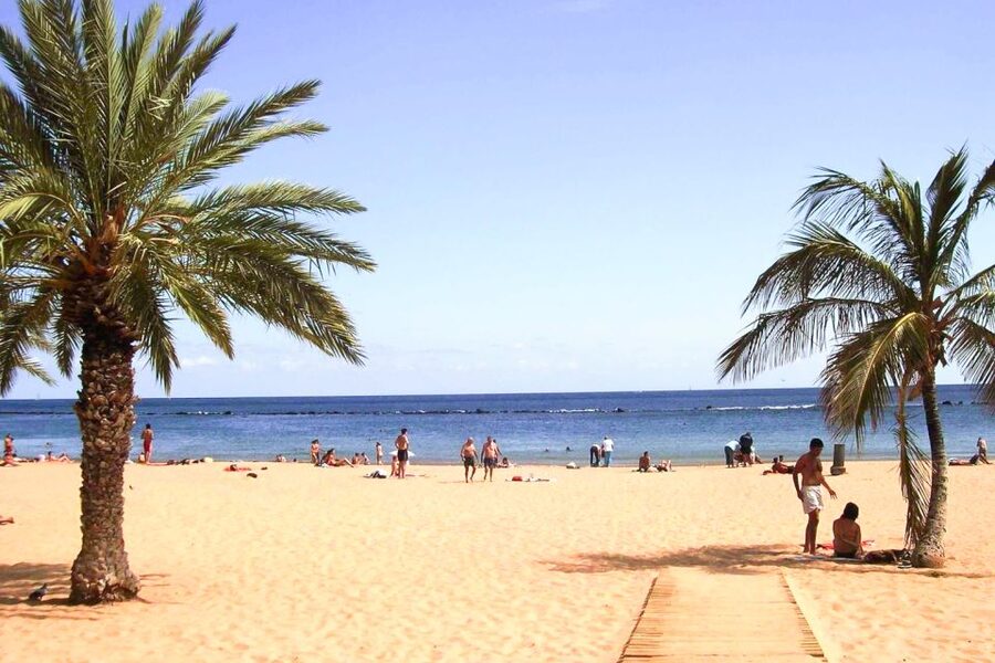 Tenerife: Anaga UNESCO VIP TOUR - Key Things That Make This Tour Worth Your Time