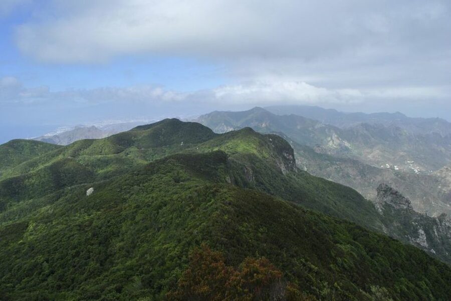 Tenerife: Anaga UNESCO VIP TOUR - From Santa Cruz Streets to Anaga Air, Fast