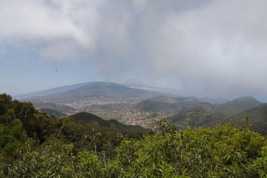 Tenerife: Anaga UNESCO VIP TOUR - Santa Cruz and Traditional Canary Architecture Stops