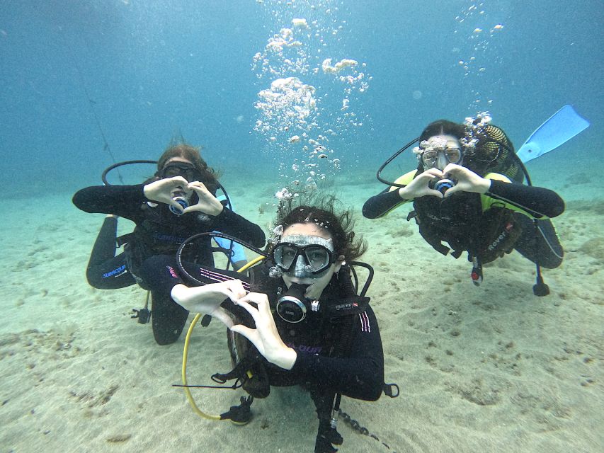Tenerife: Beginner's Dive at a Spot with Turtle Sightings - Key Highlights You Should Know