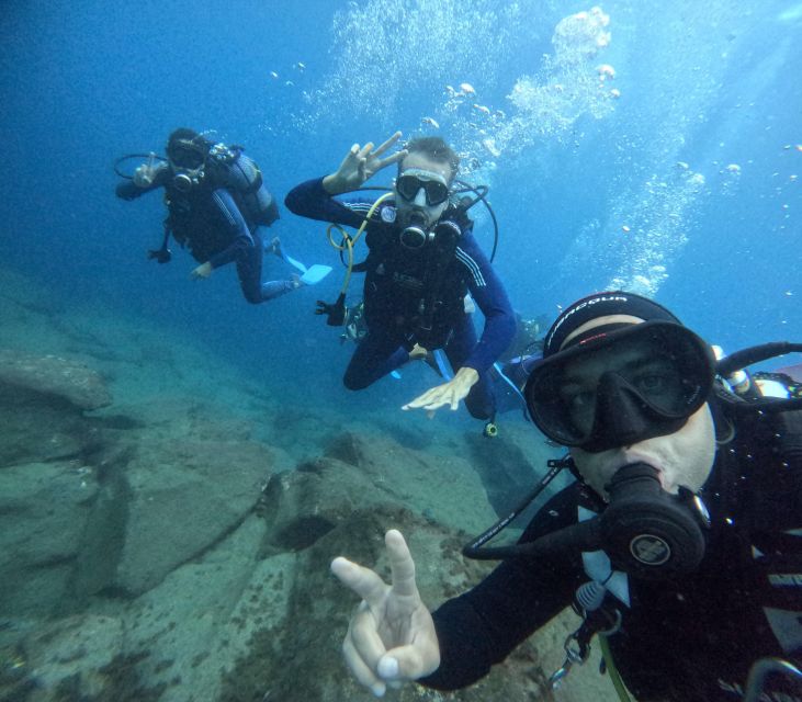 Tenerife: Beginner's Dive at a Spot with Turtle Sightings - Where You Start: Zero Gravity Tenerife in Puerto Colón