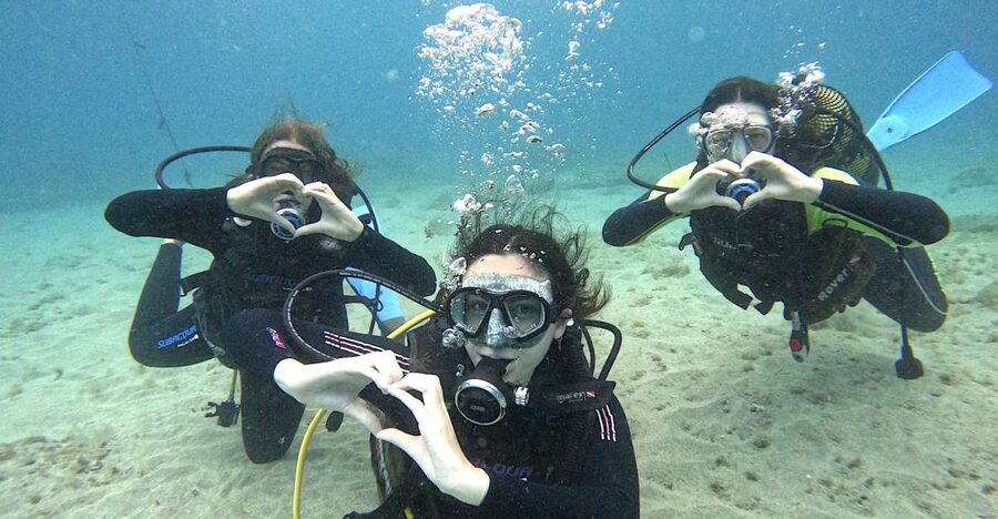 Tenerife: Beginner's Dive at a Spot with Turtle Sightings - Getting Your Gear Ready, Then Taking Turns Like a Pro