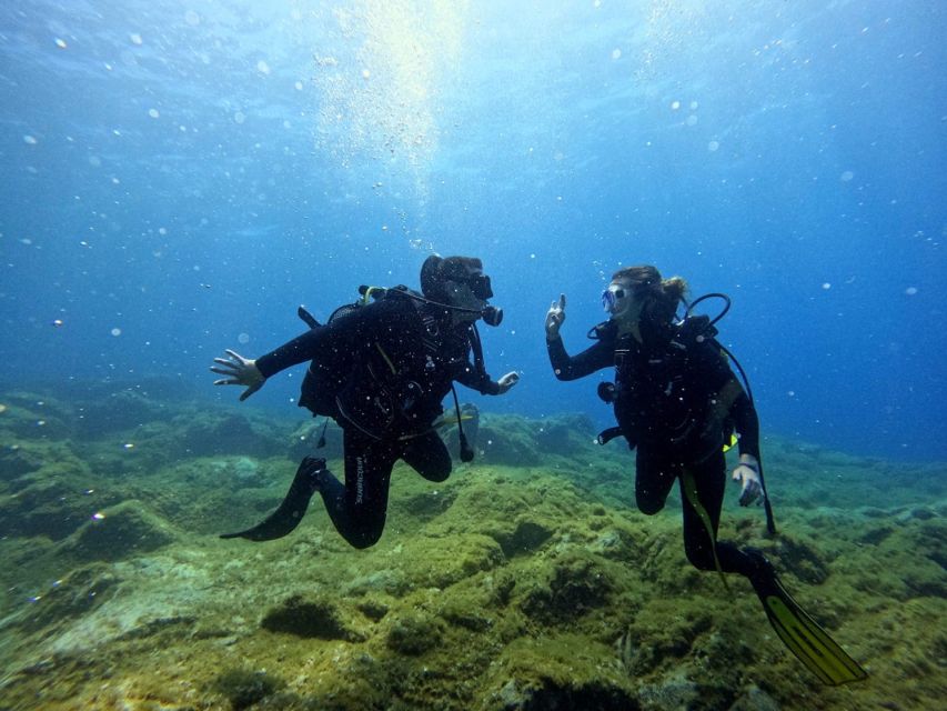 Tenerife: Beginner's Dive at a Spot with Turtle Sightings - Your Underwater Session: Built Around a 10-Meter Max