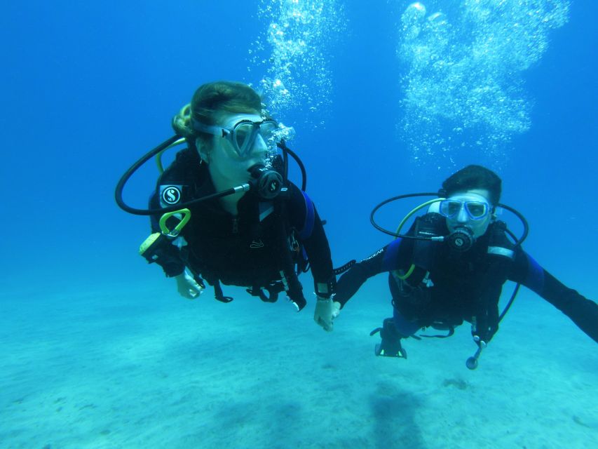 Tenerife: Beginner Scuba Diving Experience with Pickup - Should you book this Tenerife beginner scuba experience?