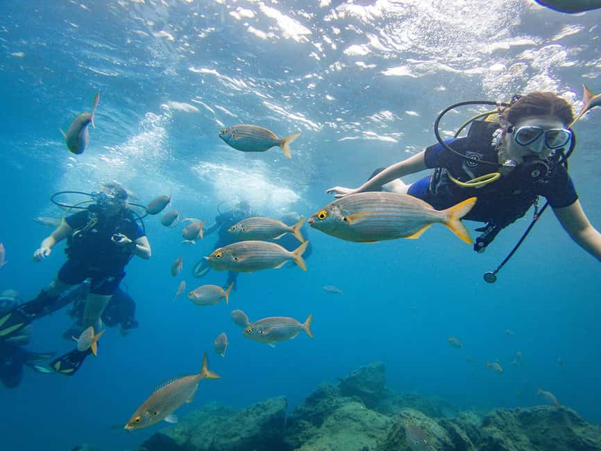 Tenerife: Beginner Scuba Diving Experience with Pickup - Gear rental, full cylinder, and why the equipment choice matters