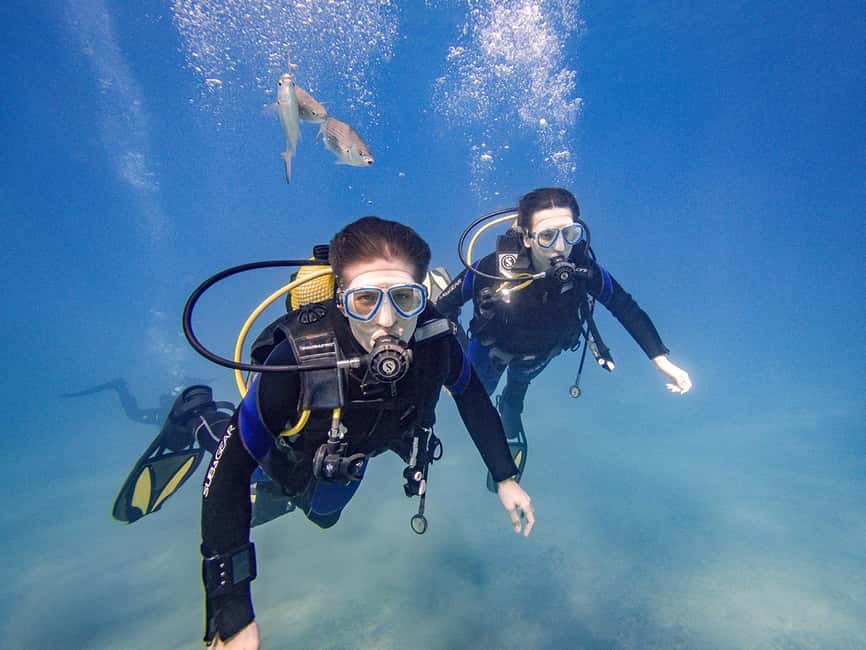 Tenerife: Beginner Scuba Diving Experience with Pickup - Price and value: what $67 includes and what can cost extra