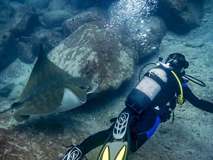 Tenerife: Beginner Scuba Diving Experience with Pickup - Who should book this, and who should skip it