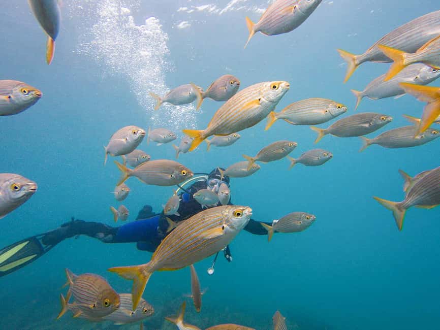 Tenerife: Beginner Scuba Diving Experience with Pickup - Tips that make your first underwater session easier (and calmer)