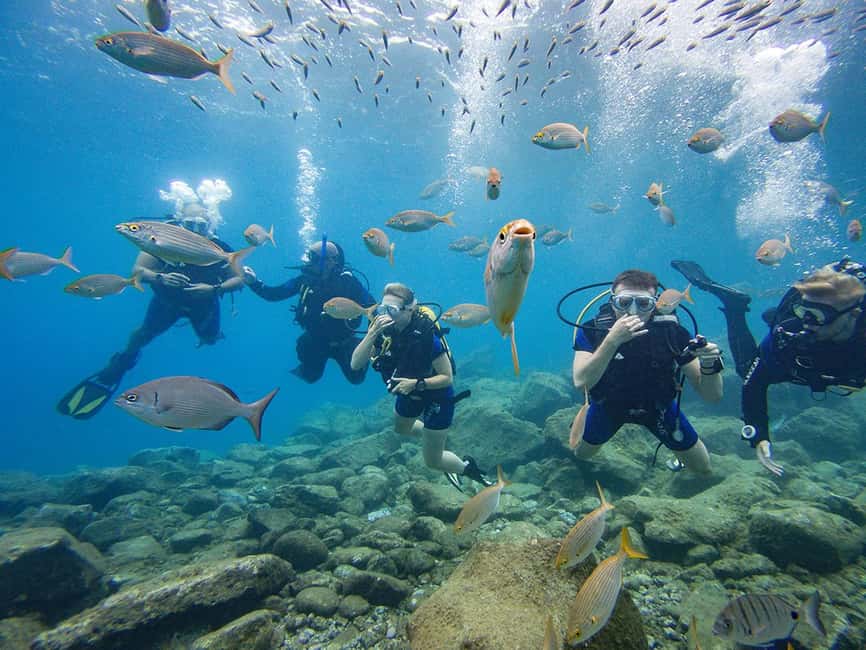 Tenerife: Beginner Scuba Diving Experience with Pickup - The safety briefing and shallow-water skills that build confidence fast