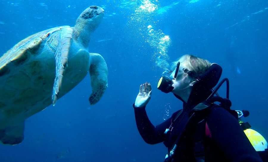Tenerife: Beginners Scuba Dive Experience in Turtle Area - Your 25-minute scuba session to a maximum of 12 meters