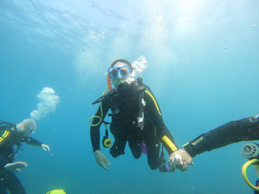 Tenerife: Beginners Scuba Dive Experience in Turtle Area - What gear you get, plus the mask-with-glasses rule that matters