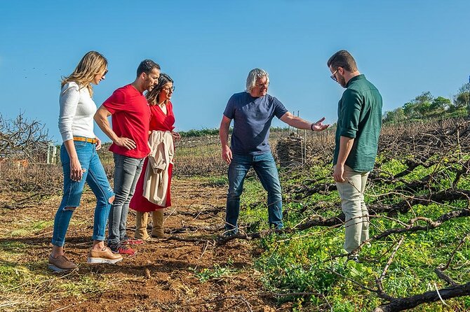 Tenerife Bodegas Monje Winery Tour with Wine and Cheese Tasting - Cheese pairings that actually make sense with Tenerife wine
