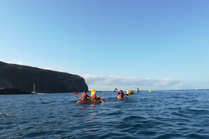 Tenerife by Kayak Adventure in small group - Key things to know before you book