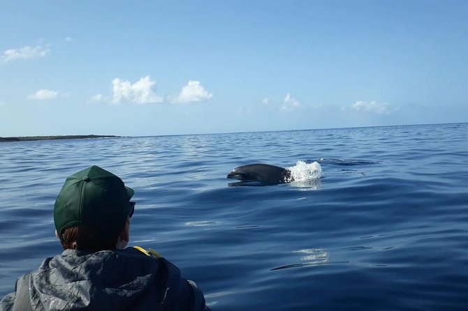 Tenerife by Kayak Adventure in small group - Kayaking for 2.5 hours, what it actually feels like