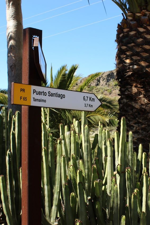 Tenerife : Camino Real hike - The 6-hour plan, broken into real-world chunks
