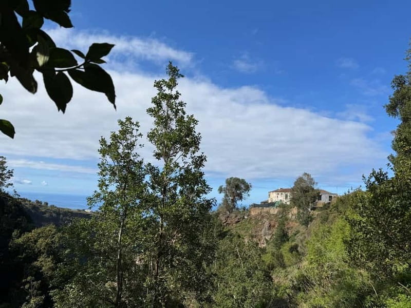 Tenerife: Canary History and Color Potatoes - Walking the Historic Camino Real: the story is in the route