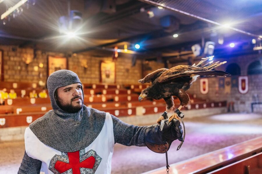 Tenerife: Castillo San Miguel Medieval Show with Dinner - When to arrive for the 19:30 show start (and why it matters)