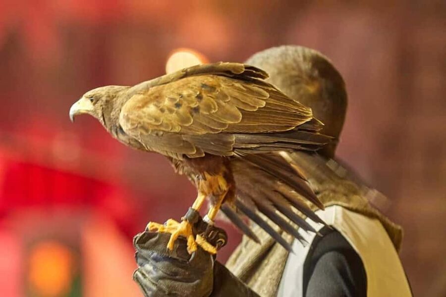 Tenerife: Castillo San Miguel Medieval Show with Dinner - Dinner served during the action: menu and what to expect