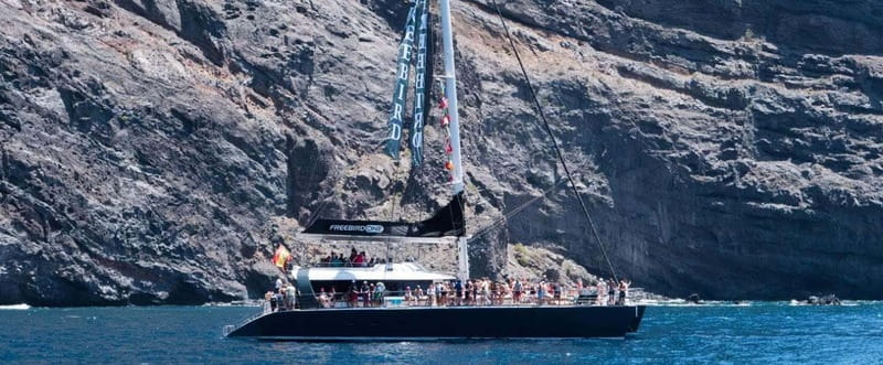 Tenerife: Catamaran Cruise with an Open Bar - Key Things to Know Before You Go
