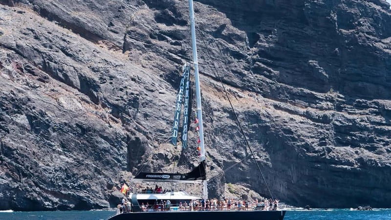 Tenerife: Catamaran Cruise with an Open Bar - Tenerife Catamaran: Freebird, Open Bar, and What You Get for $55