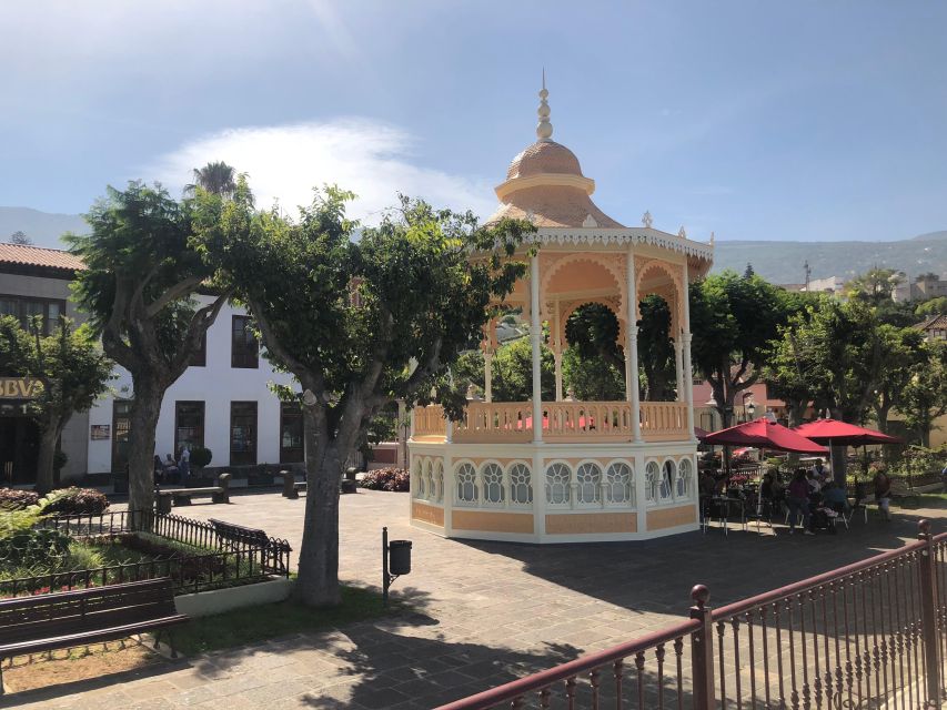 Tenerife: Complete Island Tour with Masca - From Pickup to Big Views, How This 9-Hour Tour Really Works