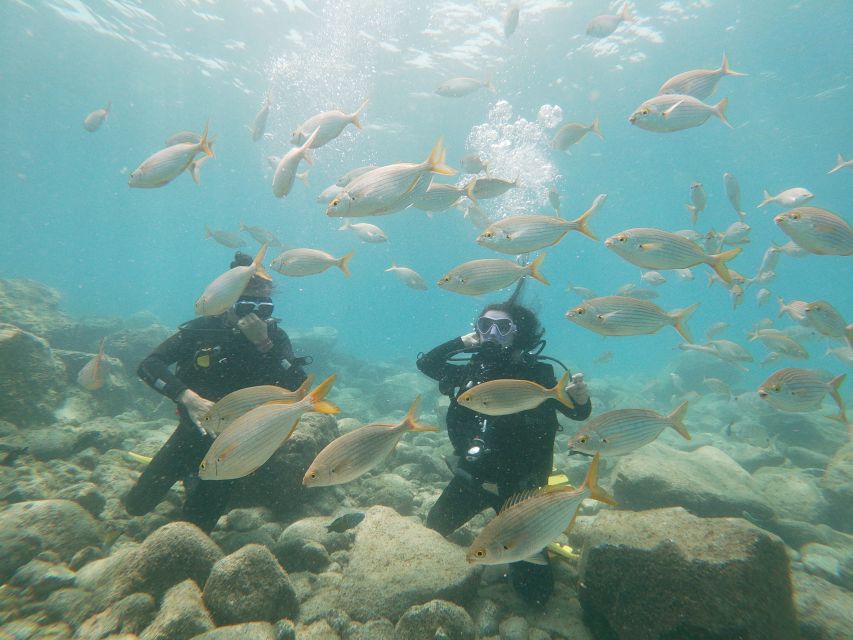 Tenerife: Costa Adeje Private Diving Lesson Experience - Key things that make this Costa Adeje scuba lesson worth your time