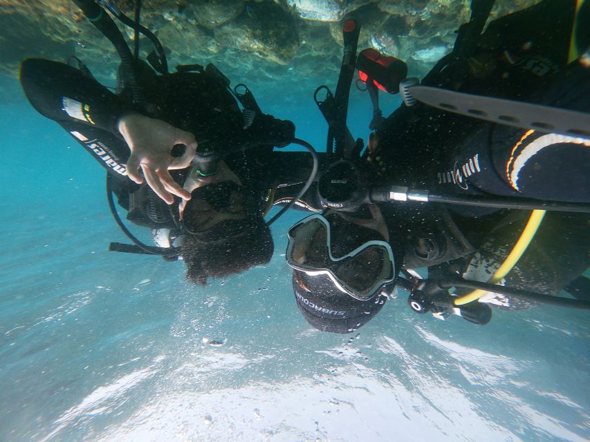 Tenerife: Costa Adeje Private Diving Lesson Experience - Who should book this (and who should skip it)