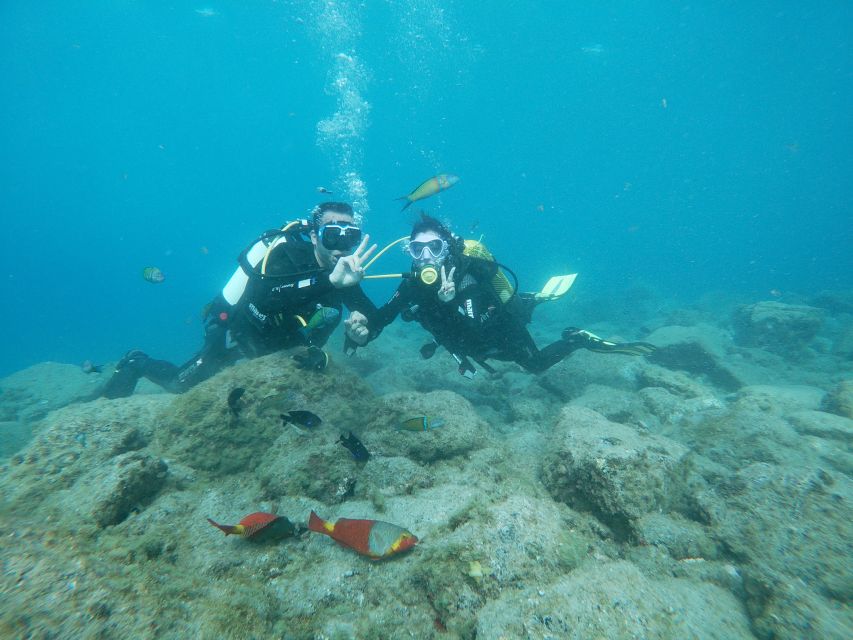 Tenerife: Costa Adeje Private Diving Lesson Experience - Where the lesson starts behind the Commercial Center, and how the 2.5 hours usually feels