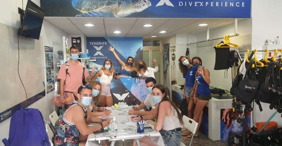 Tenerife: Costa Adeje Private Diving Lesson Experience - Going underwater in Costa Adeje’s clear water: calm control, then wildlife spotting