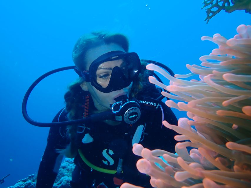 Tenerife: Costa Adeje Private Diving Lesson Experience - Small group limit and language options: how this affects your comfort level