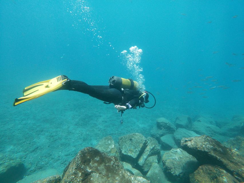 Tenerife: Costa Adeje Private Diving Lesson Experience - What to bring so you are not rushing at the beach