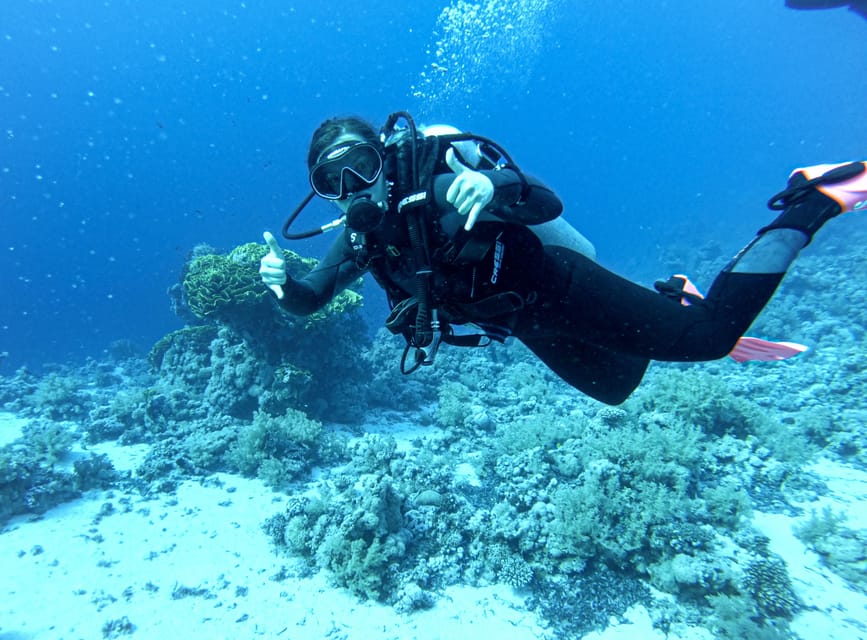 Tenerife - Discover Scuba Diving Experience with Instructor - Key things to know before you book
