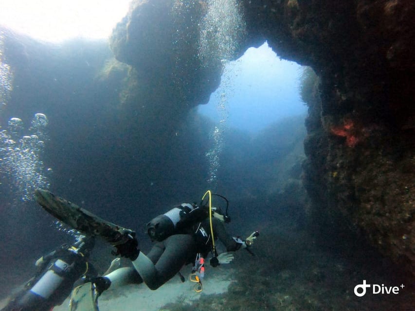 Tenerife - Discover Scuba Diving Experience with Instructor - Safety rules and health limits that you should take seriously