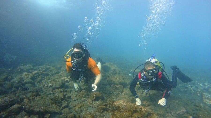 Tenerife: Discover Scuba Diving with Free Photos - Practical tips that make your first session smoother