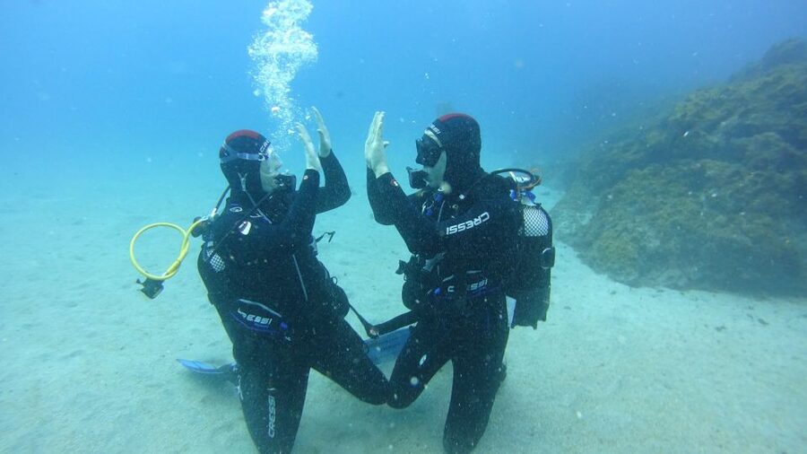 Tenerife: Discover Scuba Diving with Free Photos - What you learn before you go down: gear, breathing, and hand signals