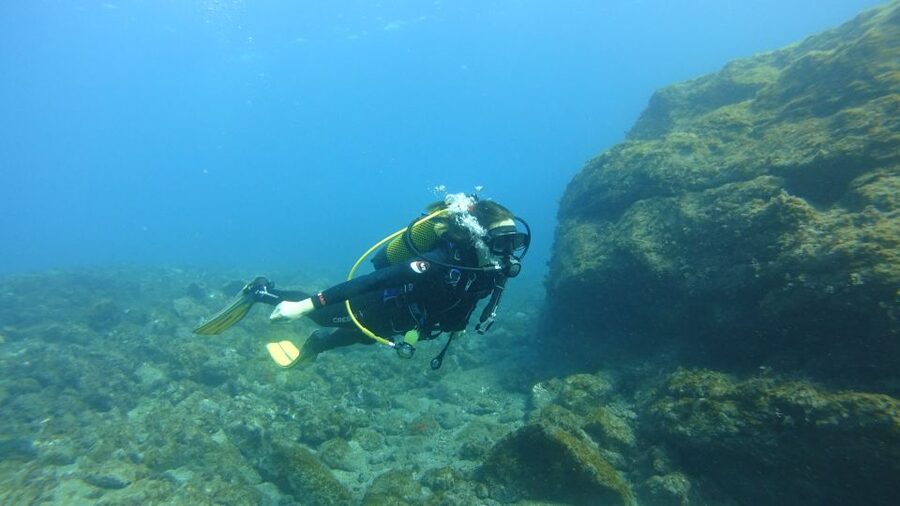 Tenerife: Discover Scuba Diving with Free Photos - Who this is best for, and who should skip it