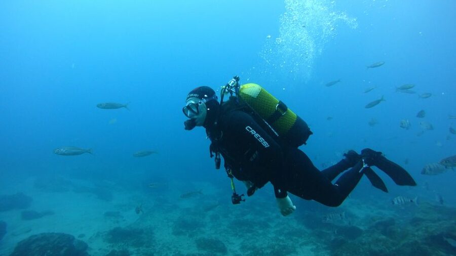Tenerife: Discover Scuba Diving with Free Photos - Getting from Marina South to the water, without extra frills