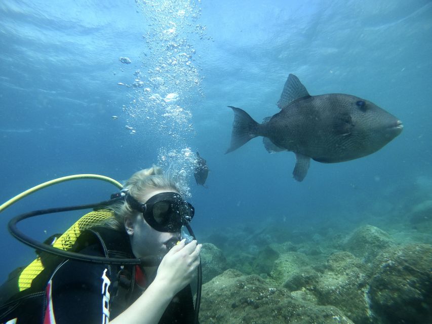 Tenerife : Diving License international in one day - Key things you’ll notice right away