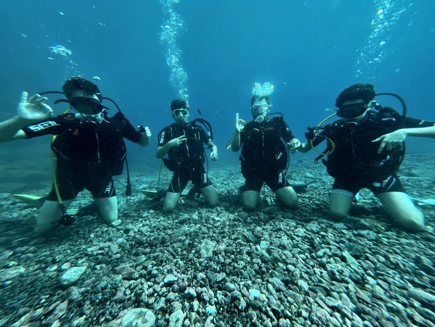 Tenerife : Diving License international in one day - Price and Value: What $259 Covers, and What You Need to Plan