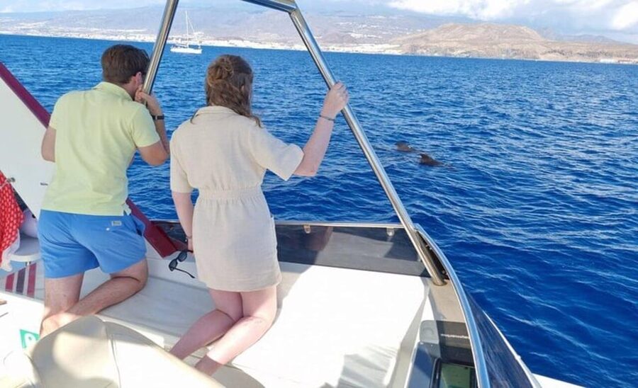 Tenerife: Eco-Yacht Whale and Dolphin Watching and Swimming - Crew and guide style, how Ines and the captain shape the trip