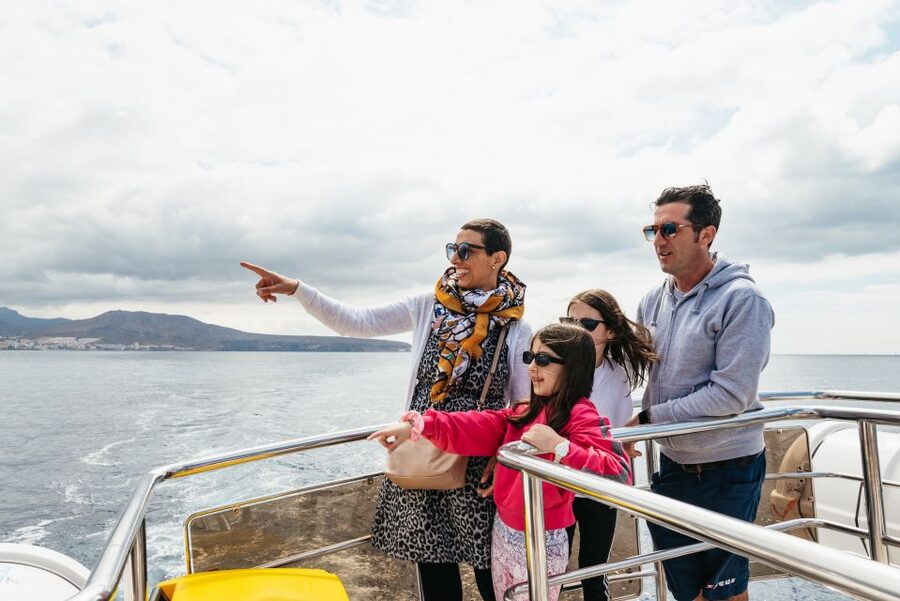 Tenerife: Eco-Yacht Whale and Dolphin Watching and Swimming - Comfort tips: seasickness, shade, and summer conditions like Calima